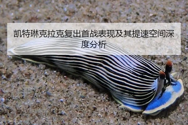 凯特琳克拉克复出首战表现及其提速空间深度分析